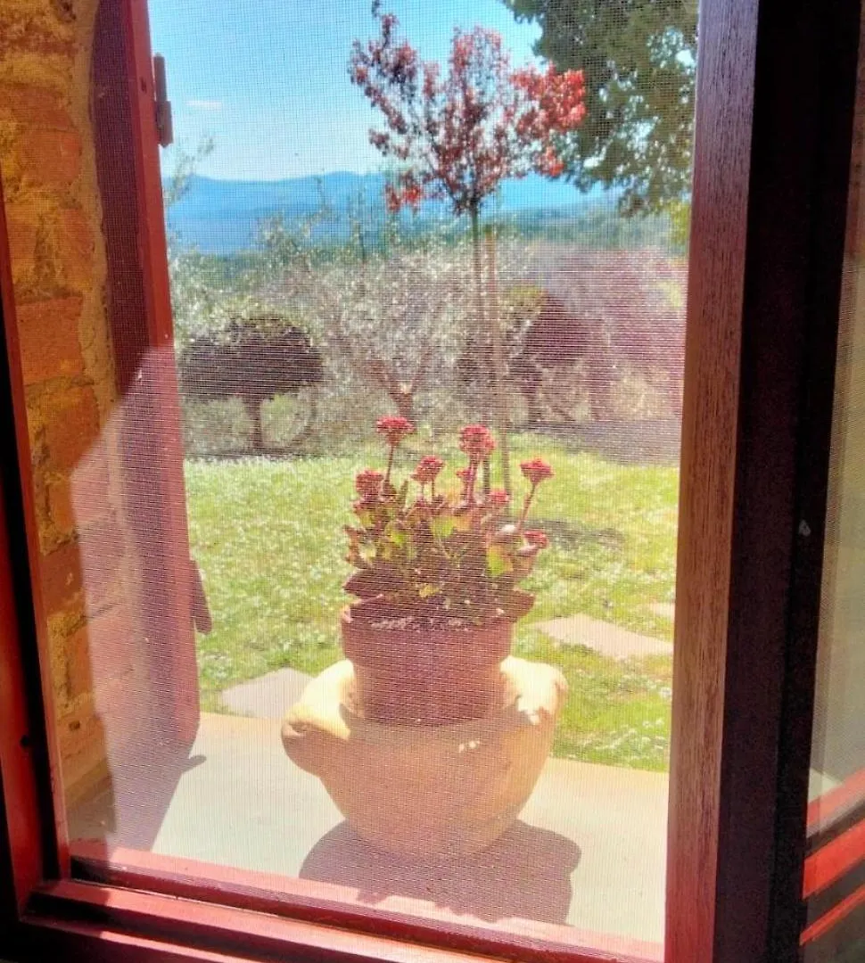 아파트 Podere La Villa 몬테카티니발디세시다 이탈리아